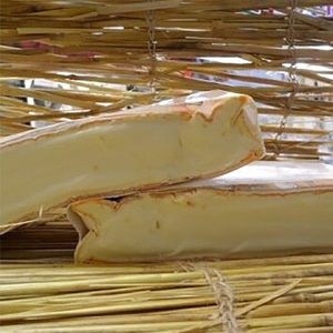 Brebirousse D'Argental