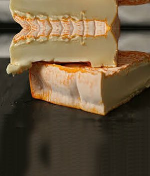 Brebirousse D'Argental - Image 3