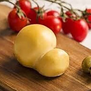 Scamorza