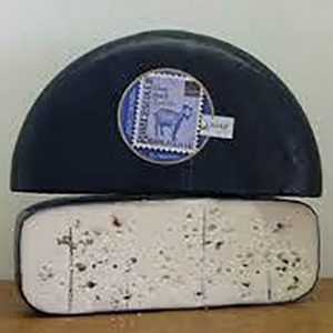 Ribblesdale Blue Goat's